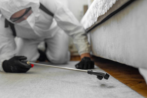 Professional Cockroach Control technician working in Chatmoss, VA