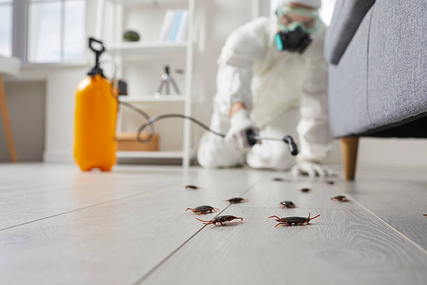 Affordable Cockroach Control solutions in Chatmoss, VA